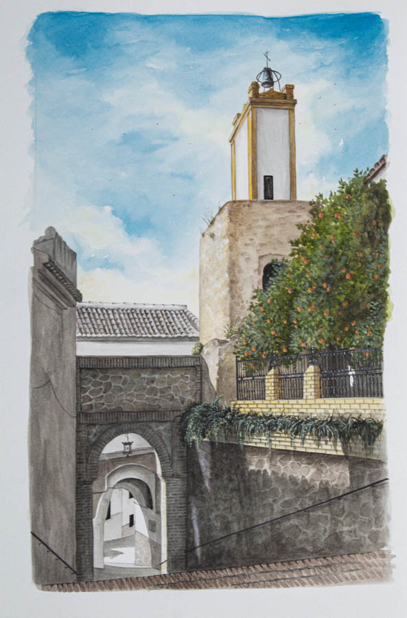 Flora and Fauna Bee Eater